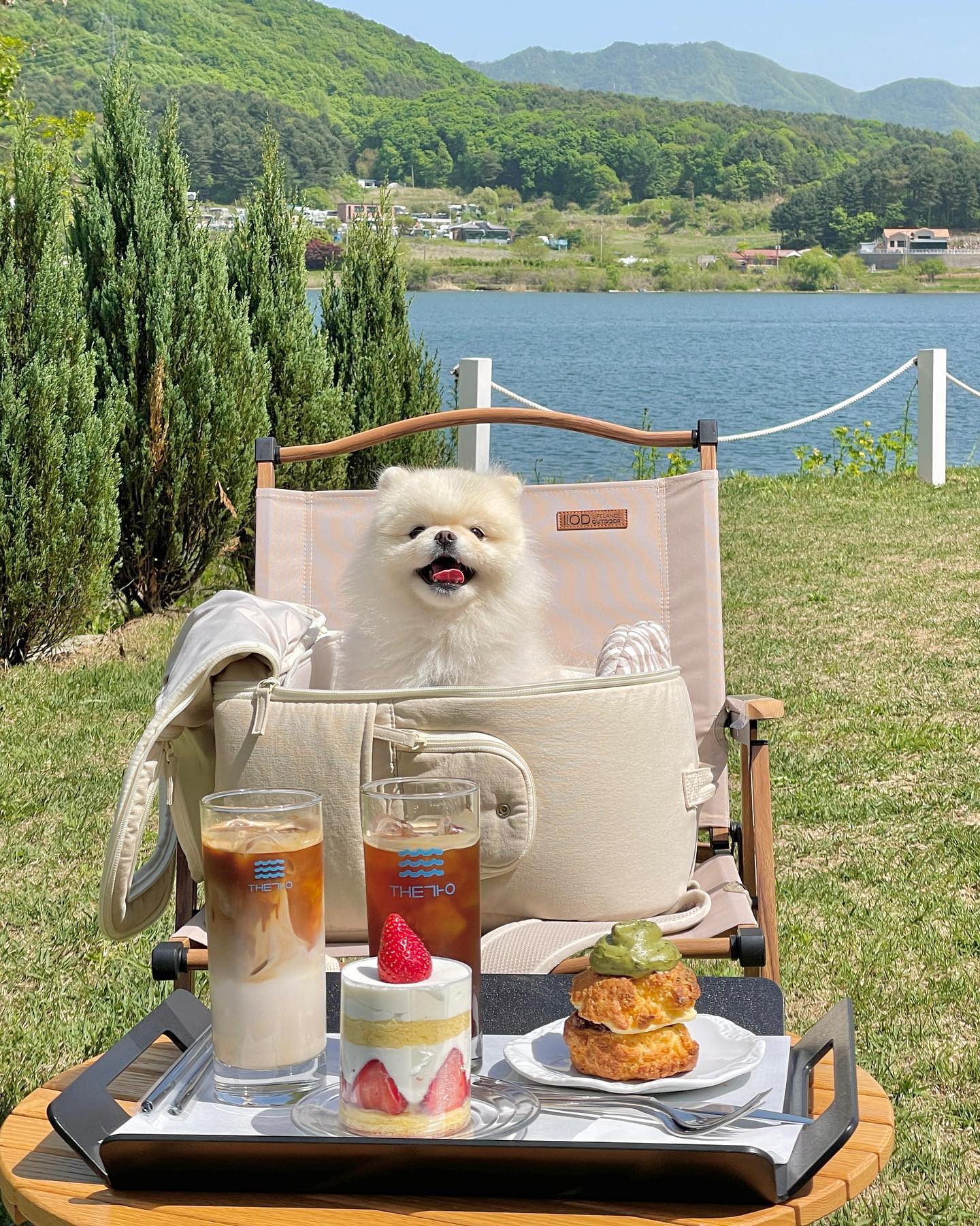 🏞️

북한강 리버뷰 카페 #더강

넓은 잔디 정원에서 바라보는 북한강 리버뷰💙

푸릇푸릇한 이번 카페 너무 좋았다 🤍💚

#가평카페 #남이섬카페 #청평카페 #가평리버뷰카페