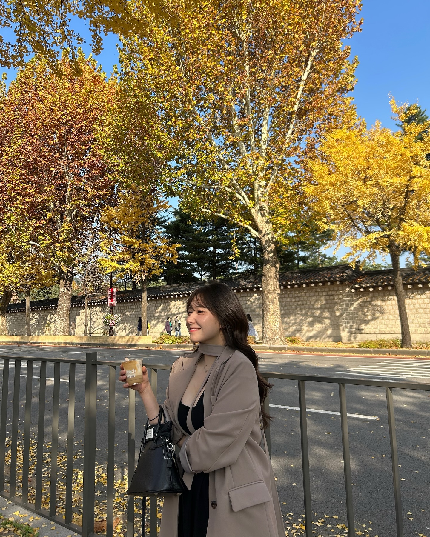 가을의 서촌🍂🍁