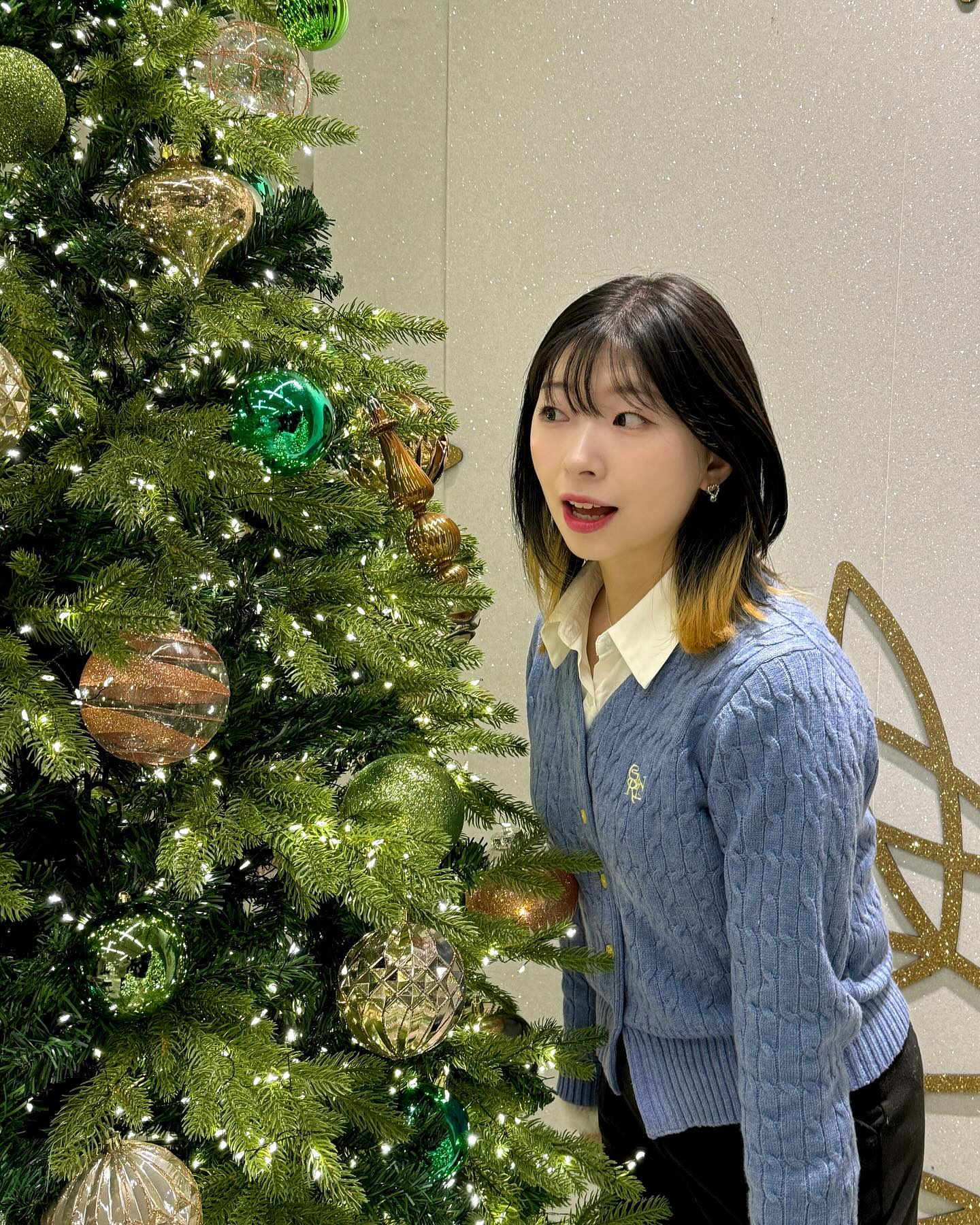 🎄✨