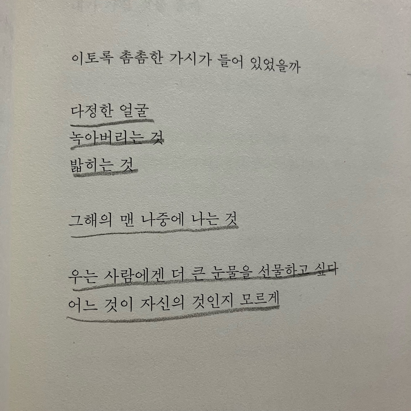 쉼표의 쓰임과 온점의 느낌.. 적절함이라곤 없는 날씨에도 까먹고 싶지 않은 문장들.. 나는 시월에 태어난 사람. 그렇지만 여기선 십이월에 태어닌 사람.. 여름이라 용서되는 것들과 여름이라 용서 되지 못하는 것들의 안도감과 억울함을 위안 삼아가는 중.
안녕, 잘 지내. 여름을 잘 보내.