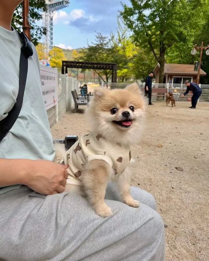 🐶