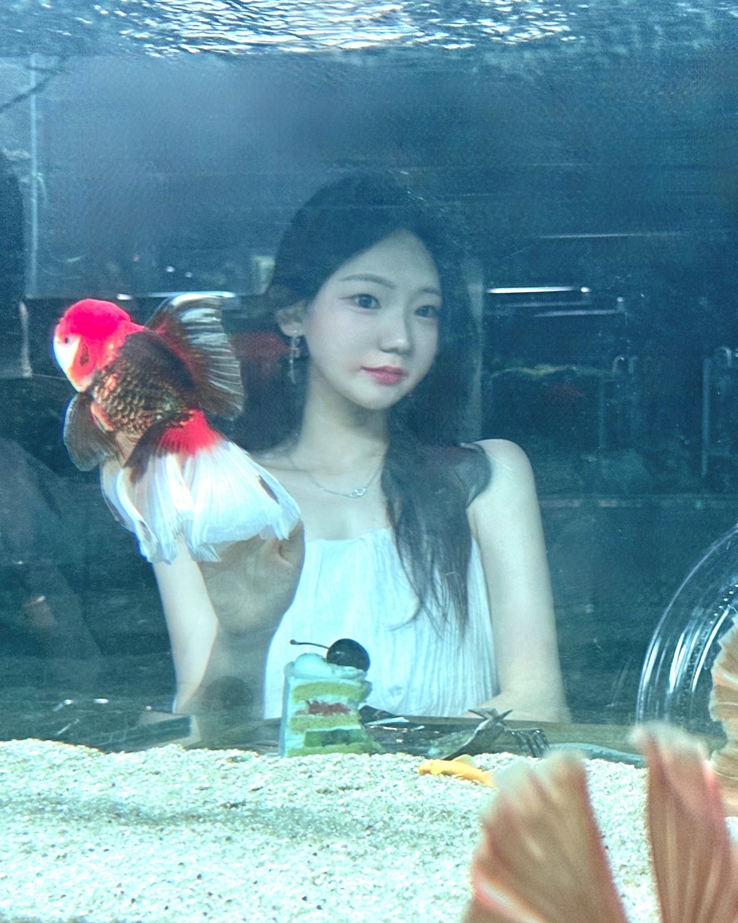 퐁당🐠🫧