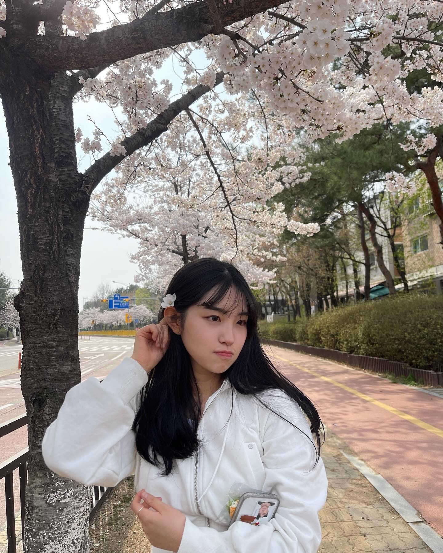 벚꽃 안냥 .. 내년에 보쟈 🌸🩷