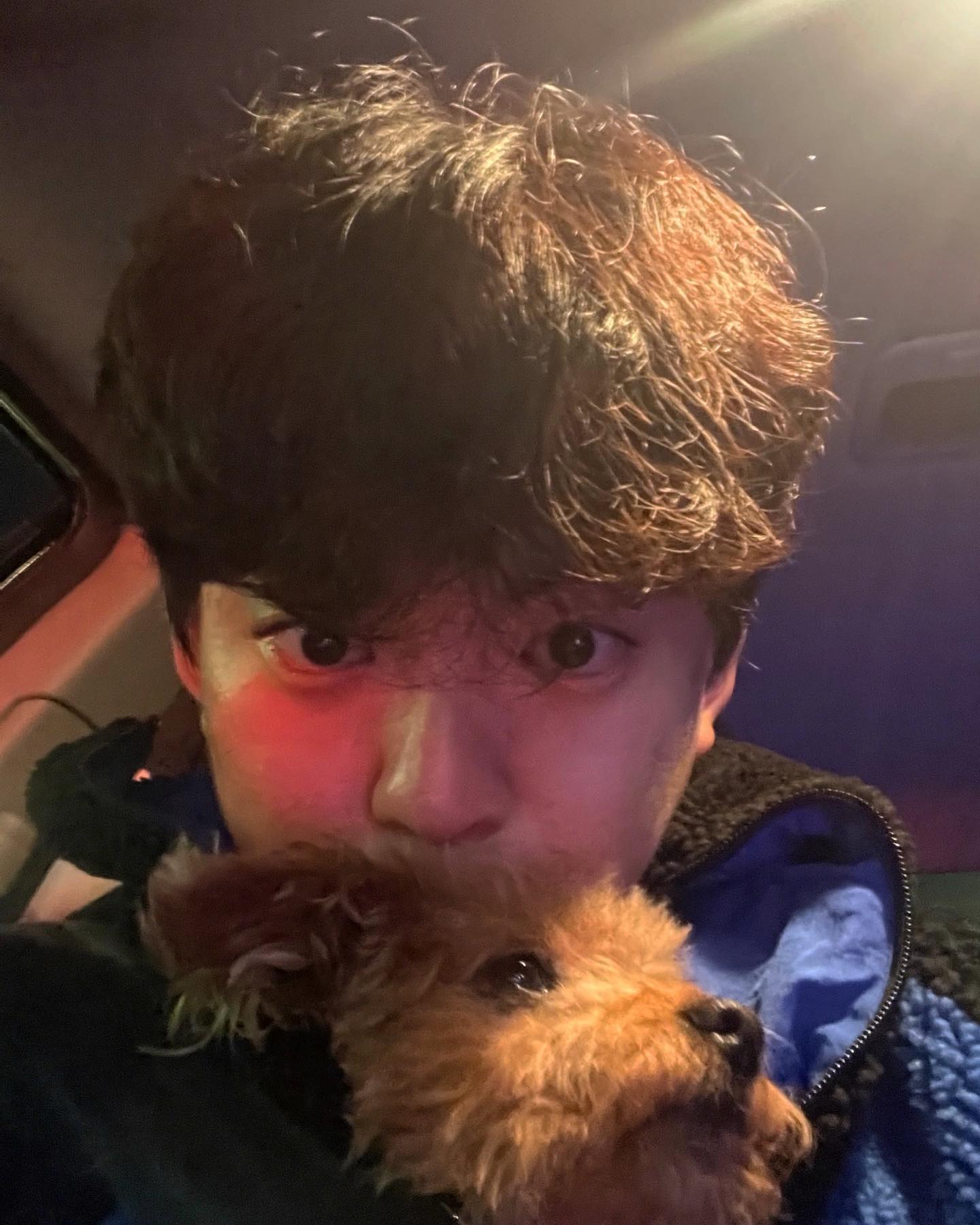 콘텐츠