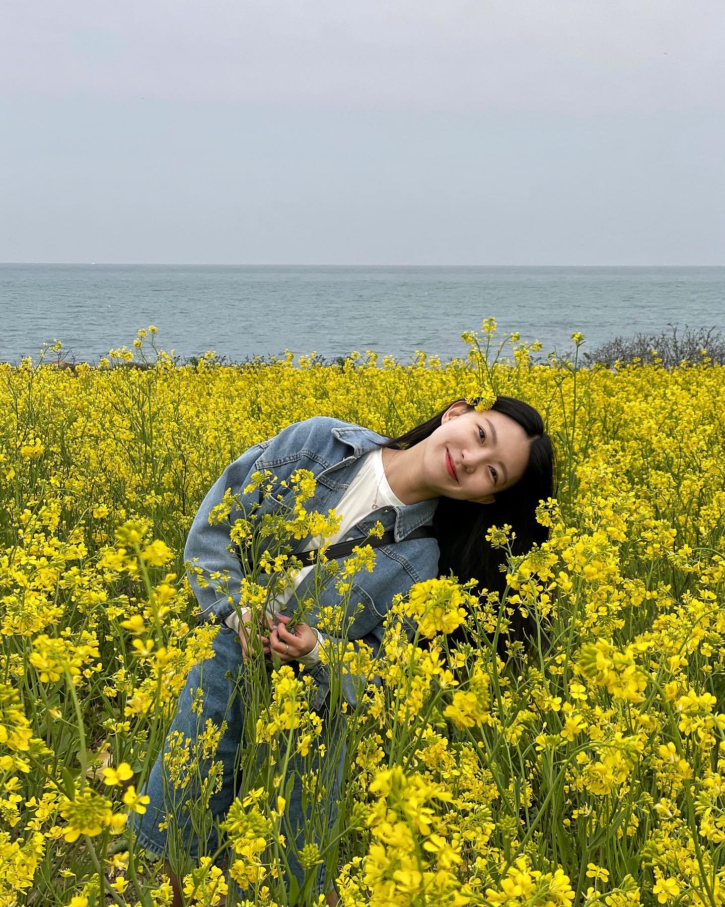 제주에 온것 같🌼🌼