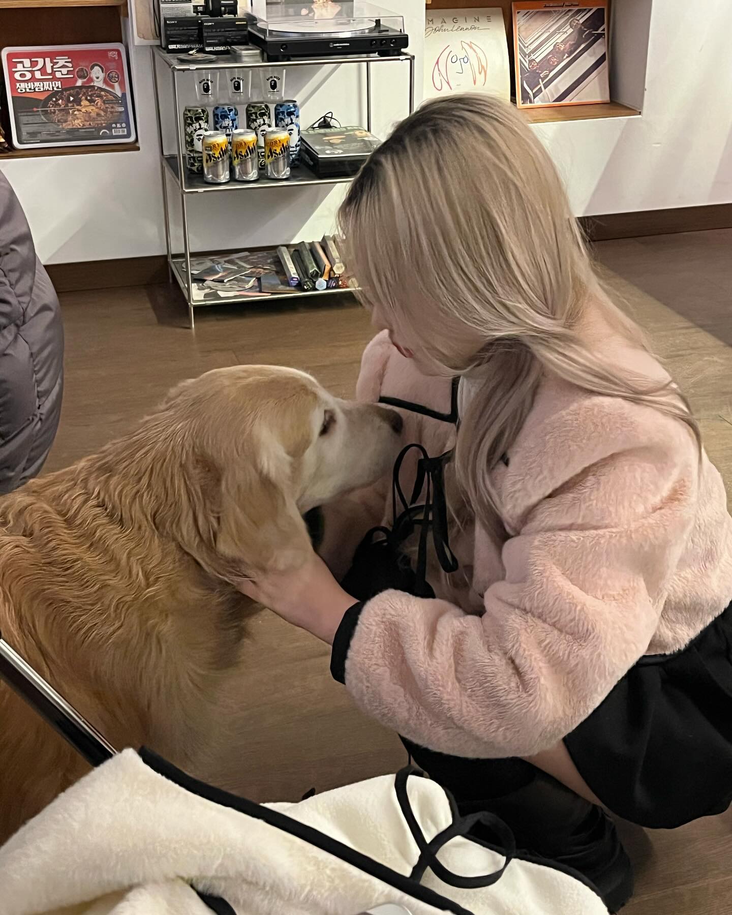 왕왕 큰 골든리트리버 유주 ,,,,, (*ฅ́˘ฅ̀*)♡