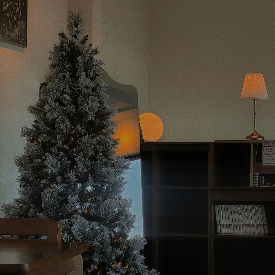 🎄