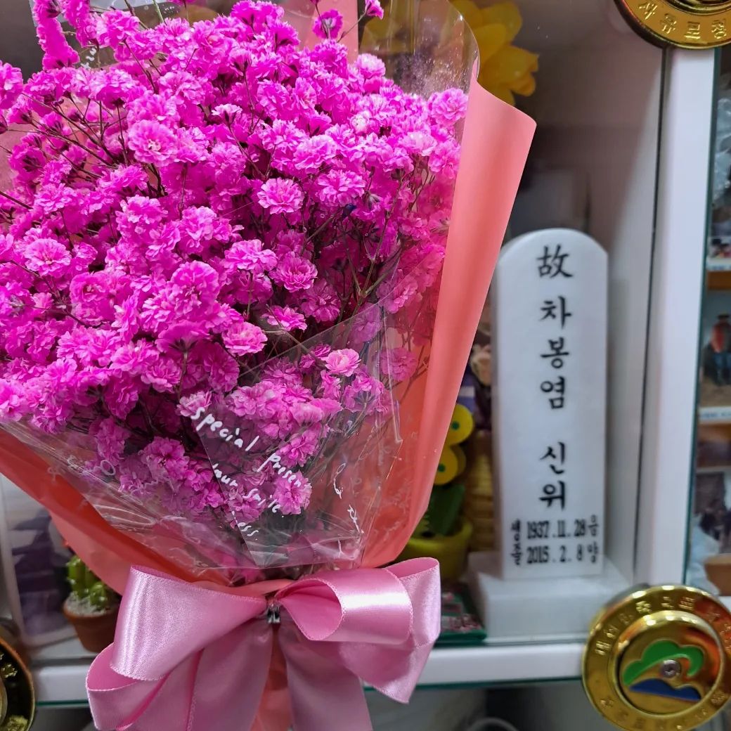요즘 처럼 답답할 땐 더 보고파지네
봄날을 기다리며^^