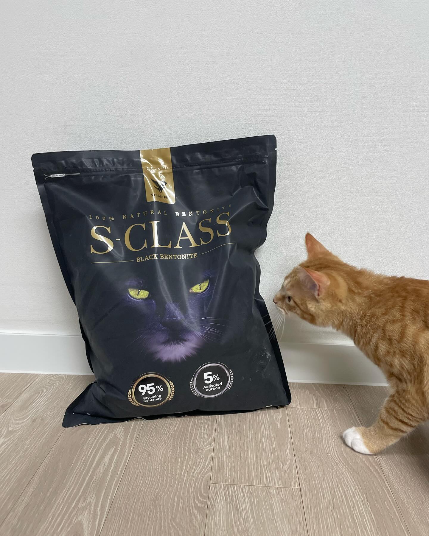 sclasspet_official 에서 블랙벤토나이트를 보내주셨어요!🐈‍⬛

✨[에스클래스벤토나이트]는 100% 와이오밍주의 최고급 벤토만을 사용해 응고력을 높였고, 중간모래와 가는모래를 최상의 조합으로 배합하여 아이들의 화장실 사용감과 경제력까지 모두 갖춘 고양이 모래입니다!

✔️에스클래스 벤토나이트는?✔️

➀ 섞어 쓰지 않는 모래
: 중간모래 + 고운모래 + 야자 활성탄을 조합하여 섞어 쓸 필요없는 모래
➁ 빠르고 높은 응고력
: 최고급 벤토나이트를 사용해 응고력이 높기 때문에 모래 사용량이 적어 경제적
➂ 100% 천연 모래 사용
: 최고의 품질인 미국 와이오밍주 벤토나이트 사용
➃ 활성탄 5% 함유
: 탈취력 강화를 위해 야자 활성탄 5% 함유
➄ 먼지 99% 제거
: 5단계에 걸친 먼지 제거 작업으로 낮아진 먼지 발생량

➰재생탄이 아닌 A급 야자 활성탄 함유
: 폐활성탄이나 재생탄이 아닌, 공기 정화를 돕는 A급 야자 활성탄을 5% 함유해 탈취 효과를 극대화하여 쾌적한 화장실 환경을 유지하도록 도와요!

🍡당고네 후기🍡
처음 모래를 부을 때 먼지는 거의 못 느꼈어요! 무엇보다 집사가 감탄한 점은 모래가 정말정말 곱고 알갱이가 작아 젤리 보호에 좋겠더라구요! 응고력은 빠르지만 감자를 캘 때 단단하단 느낌은 못 받았어요ㅠ 탈취력은 너무 좋아서 냄새를 잘 잡아준답니다!! 그리고 모래가 너무 고운 탓인지 당고가 자꾸 눈곱이 끼더라구요ㅠㅠ 그래도 모래를 다 붓기도 전에 볼일 보는 모습을 보고 기호성이 좋다 생각들었어요!!

좋은 모래 재공 감사합니다〰️😻
🏷️ sclasspet_official 

#에스클래스펫 #에스클래스벤토나이트 #블랙벤토나이트 #화이트제올라이트 #고양이모래추천 #고양이모래 #벤토나이트 #벤토나이트추천 #고양이협찬 #고양이제품제공 #고양이체험단 #고양이제품후기 #고양이모래후기 #고양이 #캣스타 #캣스타그램 #냥플루언서 #고양이스타그램