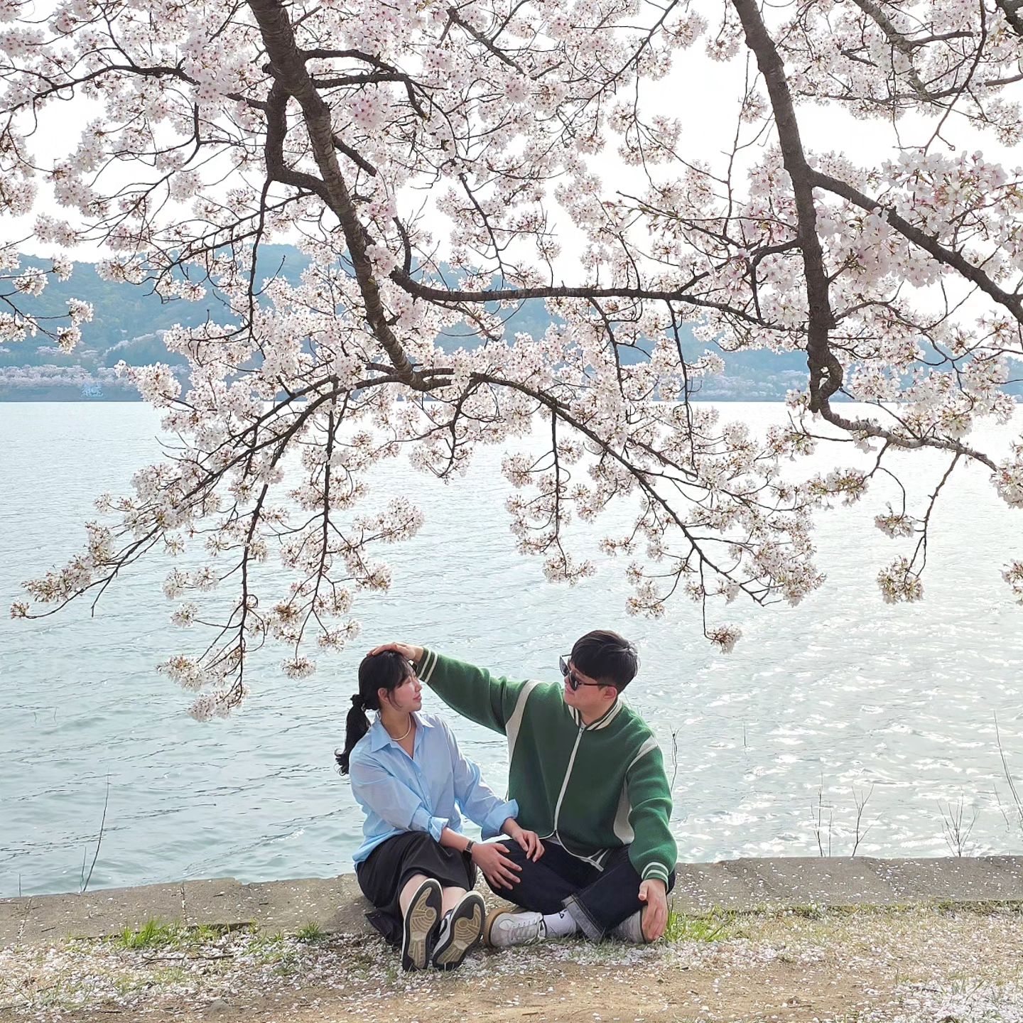 기영이랑 일주일내내 꽃놀이중🌸🩷

(기영아 괜차나...?)