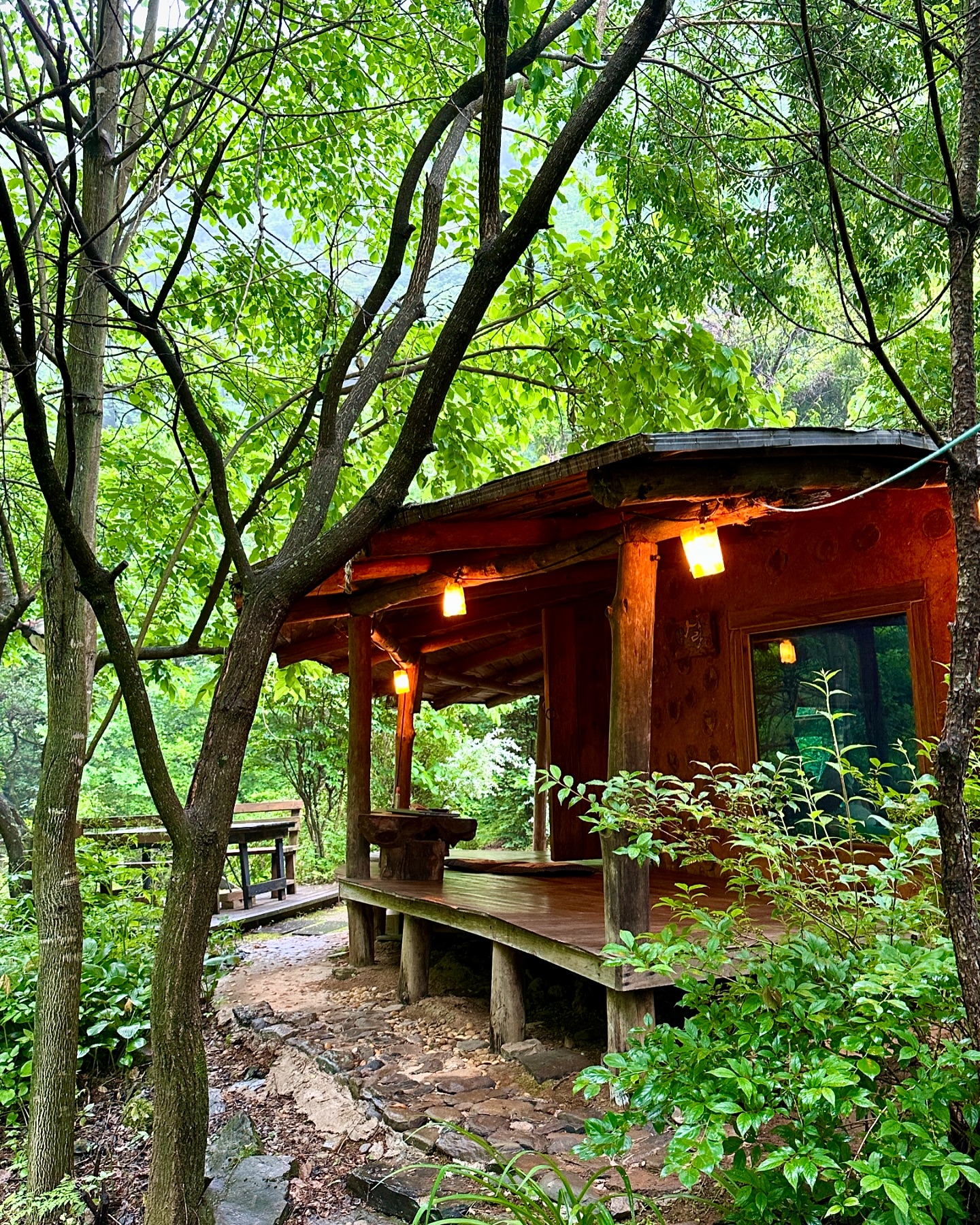 진짜 다사다난했던 촌캉스 
자연은 지켜만 보는것으로 합의🌿