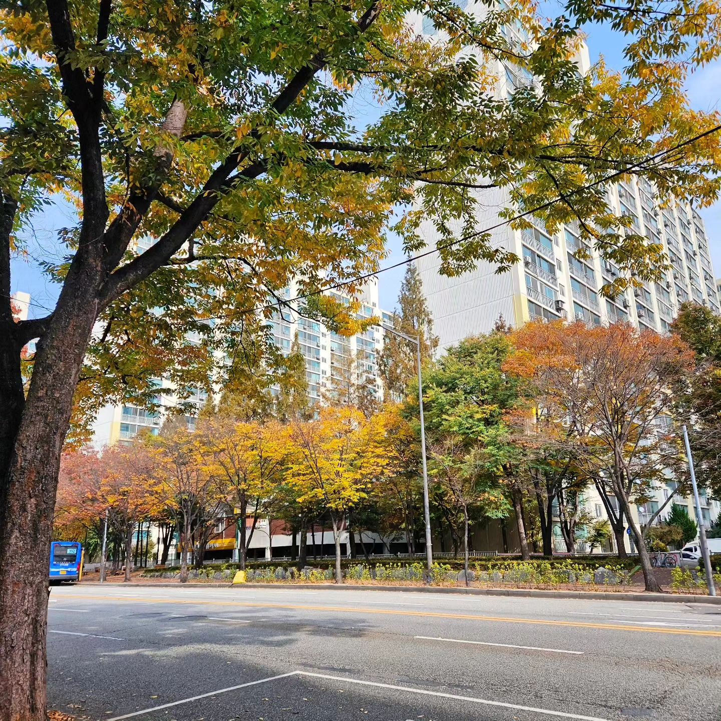 모든 게 참 쉽지만은 않네요
마음대로 되지 않는 게 인생이라지만, 답답한 마음 하나하나 눌러담는 게 간혹 버겁다고 느낄 때가 오는 것도 인생일까요
어떤 날엔 꽤 행복하게 살고 있다고 느끼다가도,
어떤 날엔 또 내 자신이 끝없이 불쌍해질 때가 오는 걸 보면
마음먹기 달렸다는 게 맞을 거라고 다독일 수 밖에 없네요
분명 다들 그렇게 똑같이 살아갈 텐데, 어떻게 그렇게 잘들 힘내서 나아가는지 새삼 대단하다는 생각도 들어요
또 이것도 금방 지나갈 걸 알고 있어서 다행이다 싶어요