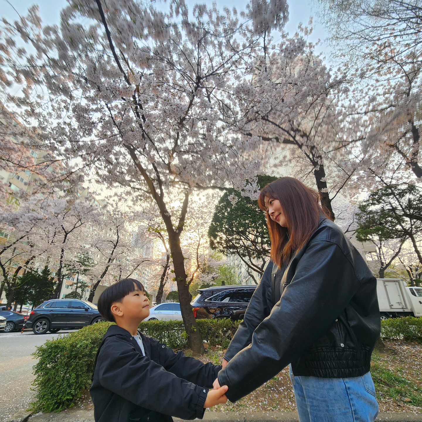 벚꽃구경 내 두번째 사랑♡둘째
어느덧 자라서 이제는 벌써 1학년
둘만의 사진~
.
#아들맘소통 #아들램그램 #아들이랑 
#벚꽃구경🌸 #벚꽃사진🌸 #좋아요
#초등맘 #초등맘맞팔 #벚꽃명소🌸