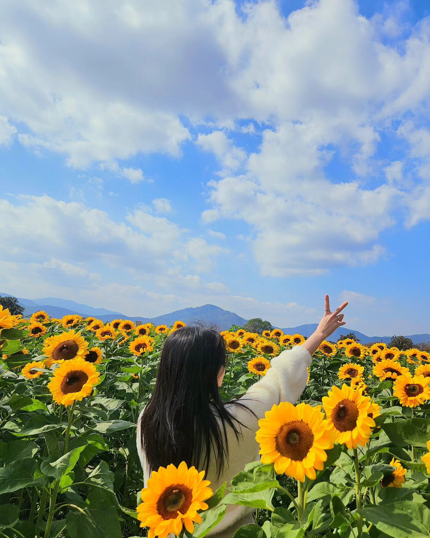 급 경주 계획없는 여행일기💗