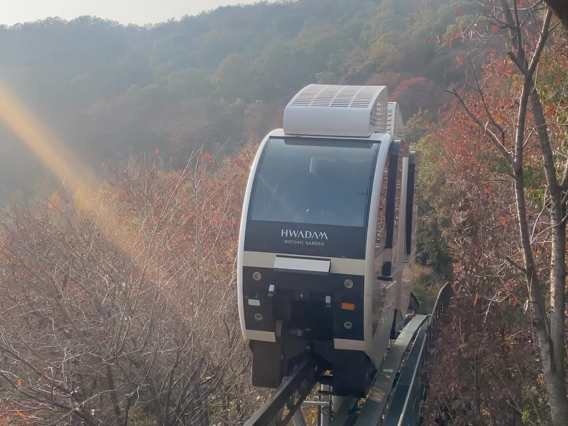 두사람 눈치 보느라 즐기지못한 화담숲😩
.
.
.
누군피곤하다난리
누군걷기싫어서업어달라난리
결국2-3-1 모노레일타고 내려옴🤢
