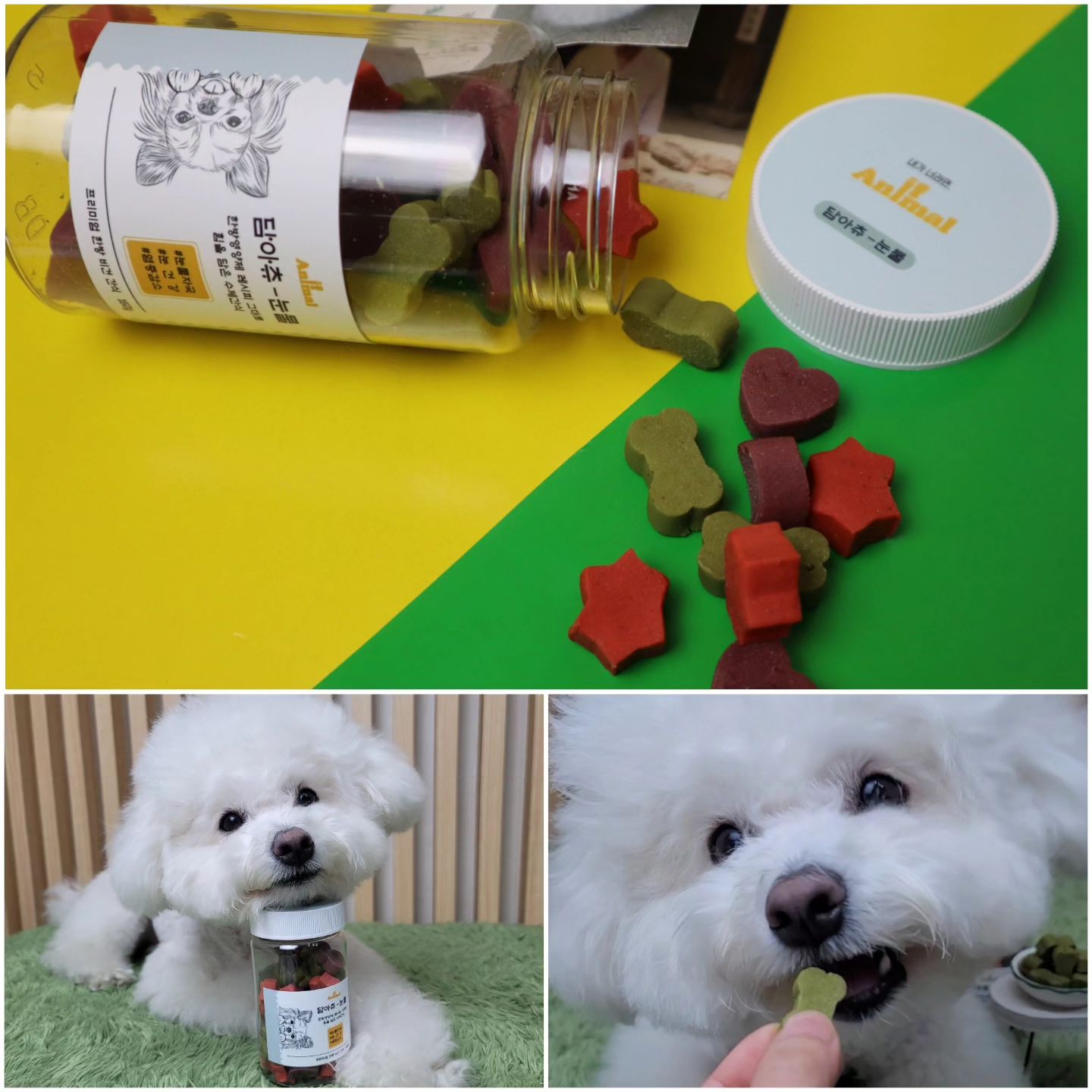 강아지 눈물 고민때문에 급여해본 #담아츄
복령, 백출​, 계지, 황기, 결명차, 감초, 감국 등
한약재가 들어있는 #강아지한방간식

토마토, 블루베리, 브로콜리 채소로
알록달록 색을 뽑았어요~

아이들 눈건강에 도움을 주는 성분위주로 구성되어 있는
성분만보고 선택했던 #강아지한방영양간식

한통 다비워가는데 확실히 눈물이 줄어가는게 보여서
추천후기 올려봐용! 굿굿

#좋은건너다먹어 누나는 돈없어서 한방간식 못먹어..
#강아지눈영양제 #강아지눈물간식 #강아지간식 #이프애니멀 #강아지한방