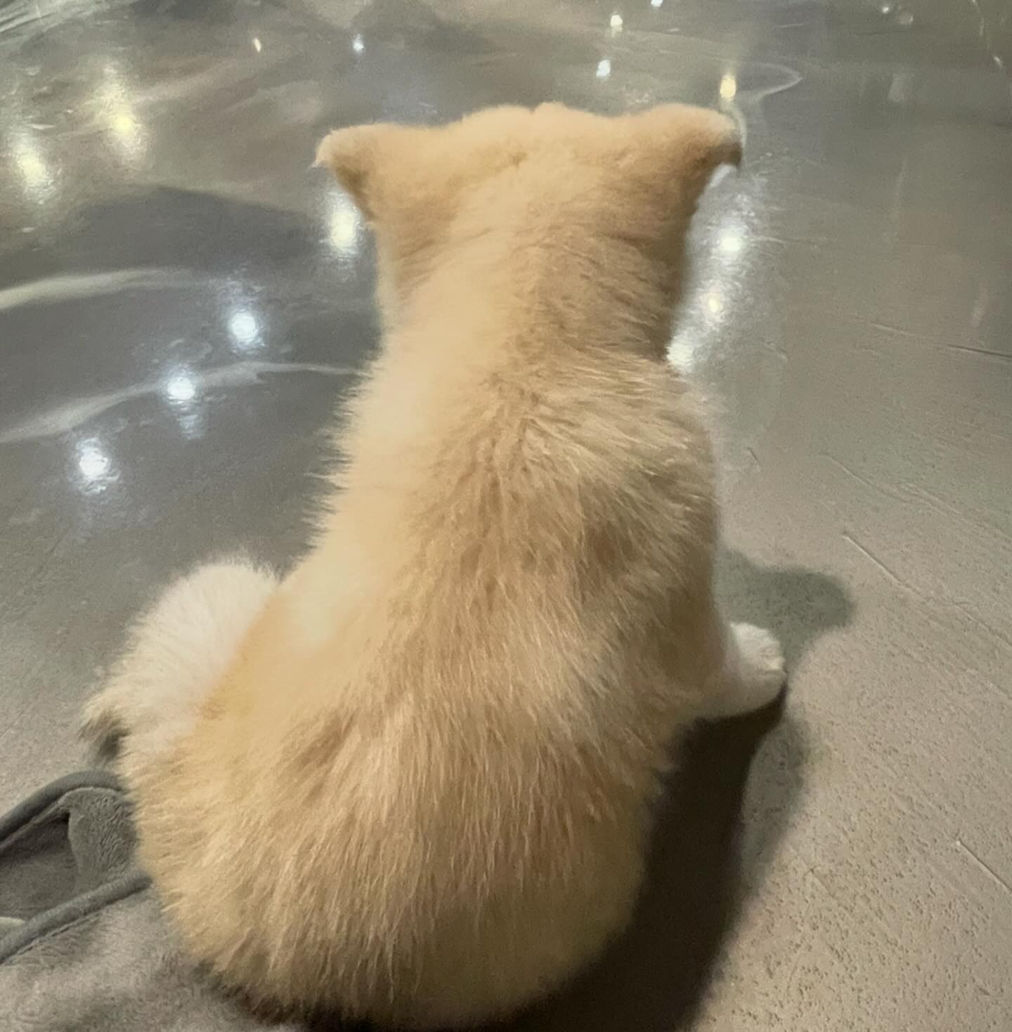 그리웠어 얘두라🥺