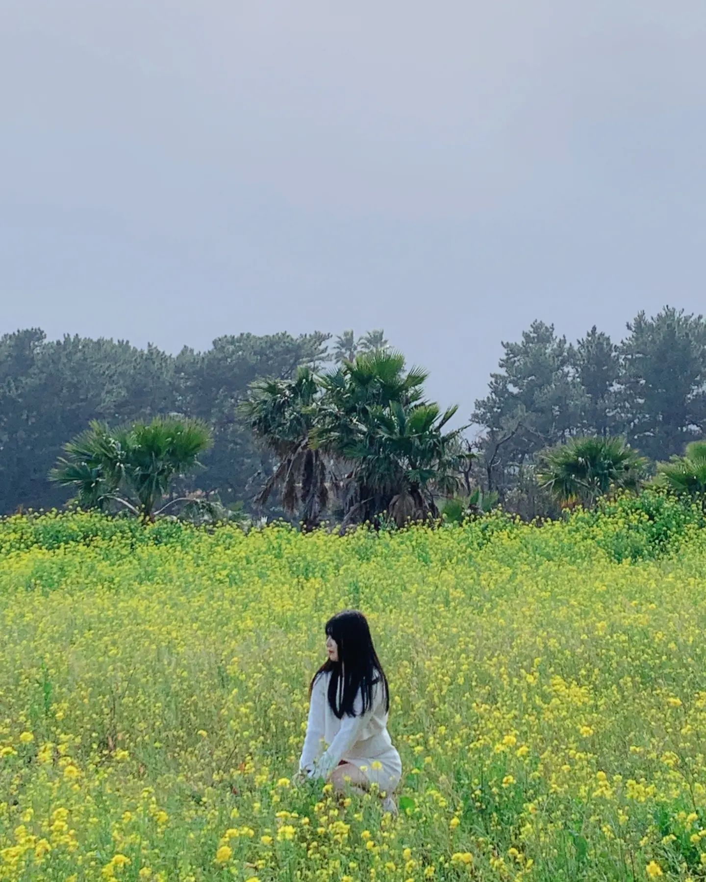 🌼
제주의 유채꽃은 처음이야~

여행하다 어딘지 모를 유채꽃밭에서🩷
제주는 봄이구낭☺️☺️
.
.
.
.
.
#유채꽃밭