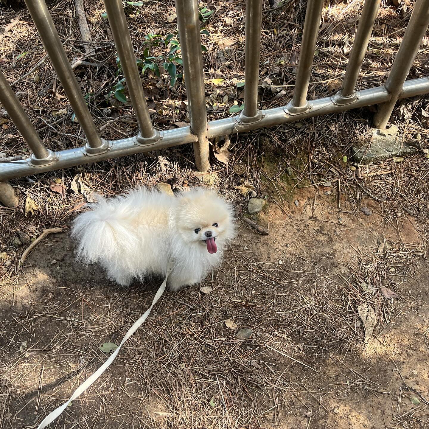 주말에 등산 다녀왔는데
알고보니 목욕을 위한 빌드업이더라고 😡😡😡

다녀와서 기절했ㄸ ㅏ〰️