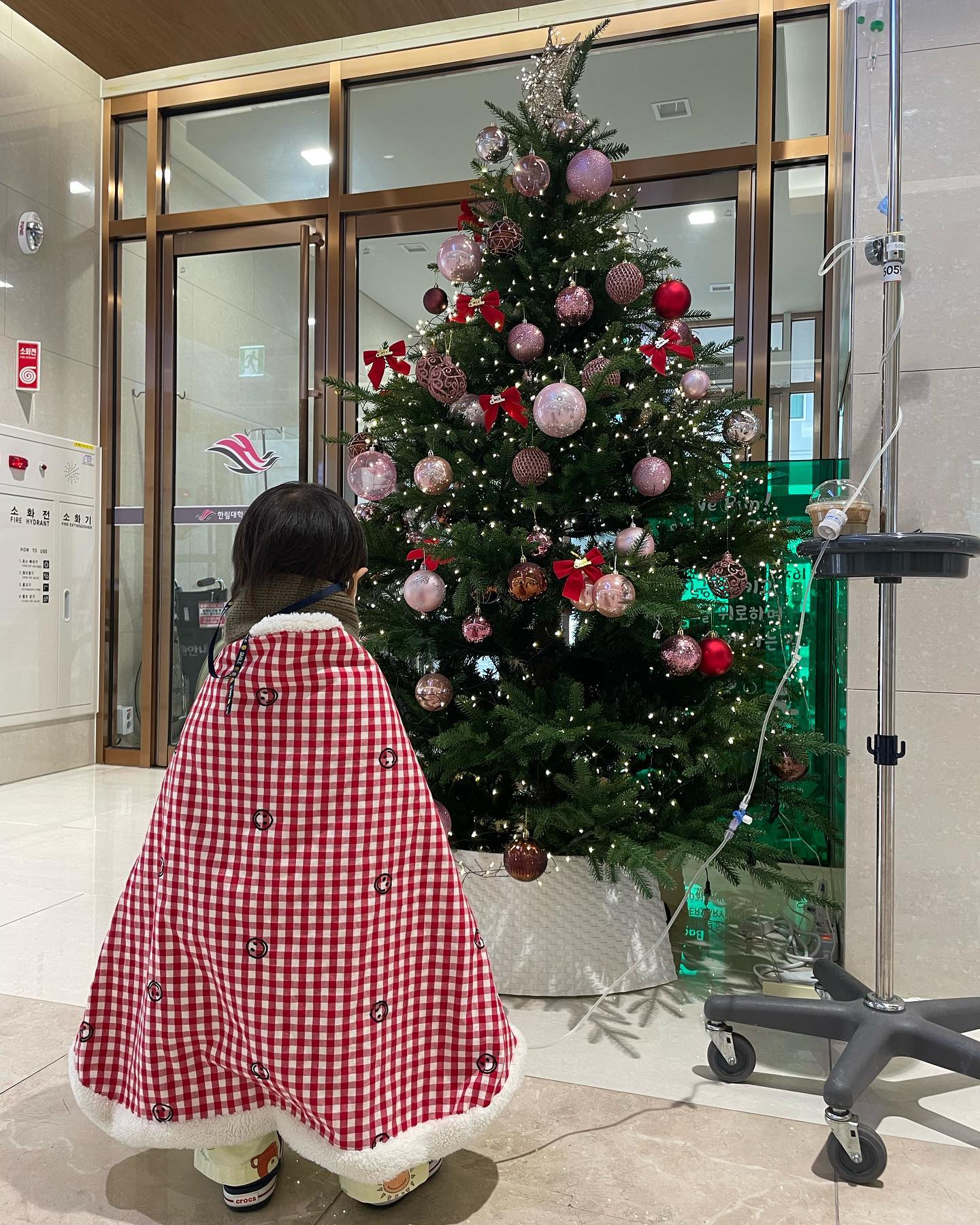 #입원생활

담이 인생첫입원🥹
진짜속상해ㅠㅠㅠㅠㅠㅠ

단순감기로 거의다나앗엇는데 
rs바이러스라니
만난사람도없고 외출이라곤 소아과뿐인데
어디서걸린걸까ㅠㅠㅠㅠ

밥을그렇게나 잘먹던울애기
밥거부에 이것저것찔끔씩맛보는수준
하…., 
내가대신아팟으면 엄마가대신 몇배로더 아파도되는데

지켜보는데 속이타들어간다ㅠㅠㅠ
입원5일째인데 차도가없으니 원

rs바이러스는 원래치료약이따로없다는데
그래서일까ㅠㅠㅠㅠ

이와중에 4인병실이텅텅비어서
1인실로사용중

간호사분옆에오기만해도 “선생님 저기가저기가”하면서 오열
네블하면 또오열하다 토하고
초예민보스
(예민한아기 정~~~~말 너무 힘들어ㅠㅠㅠ

내내 건강하다가 22년연말을 아주 호되게보내네

내년3월은 얼집가는데 아플가봐 벌서부터무섭
빨리좀낫자 빨리나아서집에가자

#제발빨리낫자