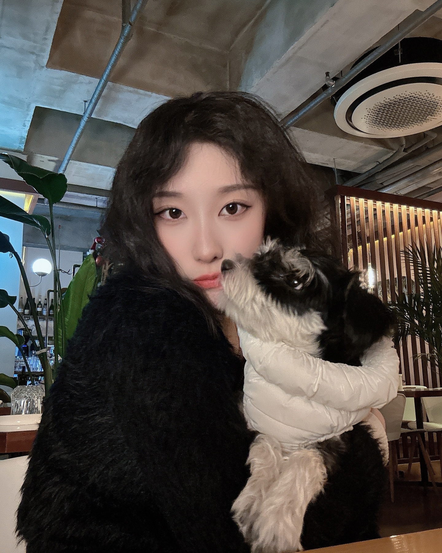 응가༼⍨༽…
