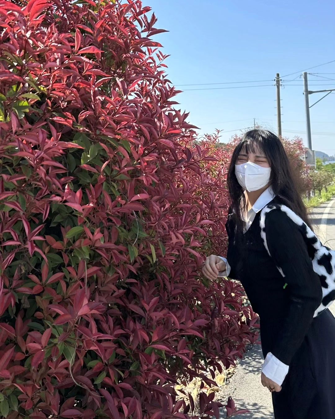 당신의 시선이나 나의 삶이나 당신의 연민이나 나의 눈물은 다른 게 없어서 나의 삶은 글이고 당신의 글은 나의 삶🍀이란 게 좋아서