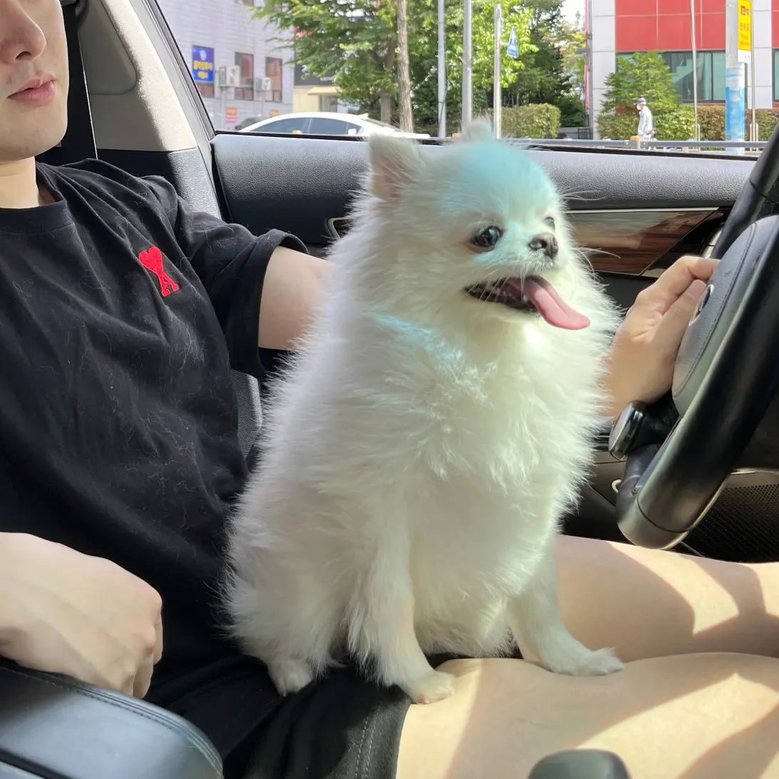 크롱크롱크롱롱