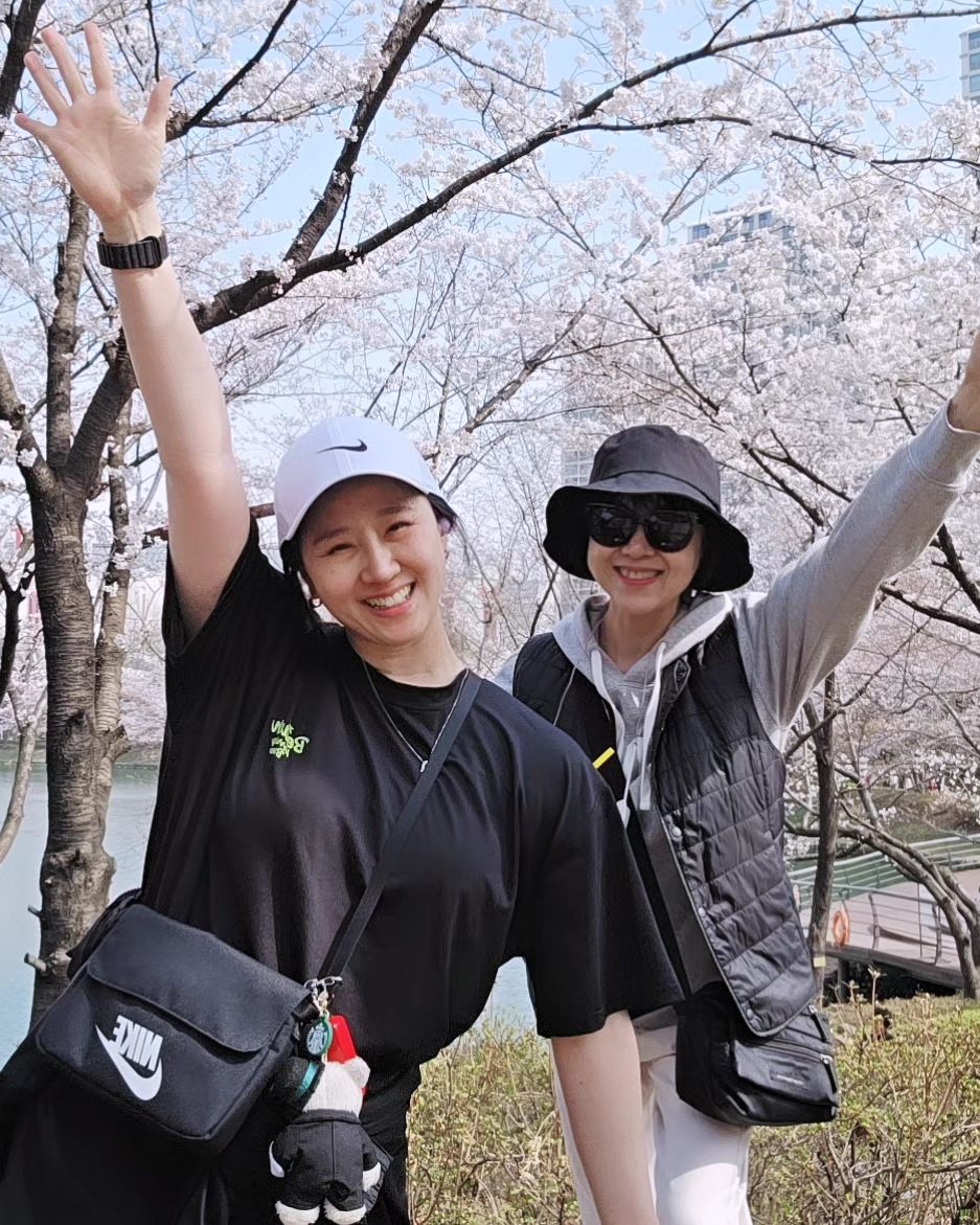 급 벚꽃 🌸 5분  벙개