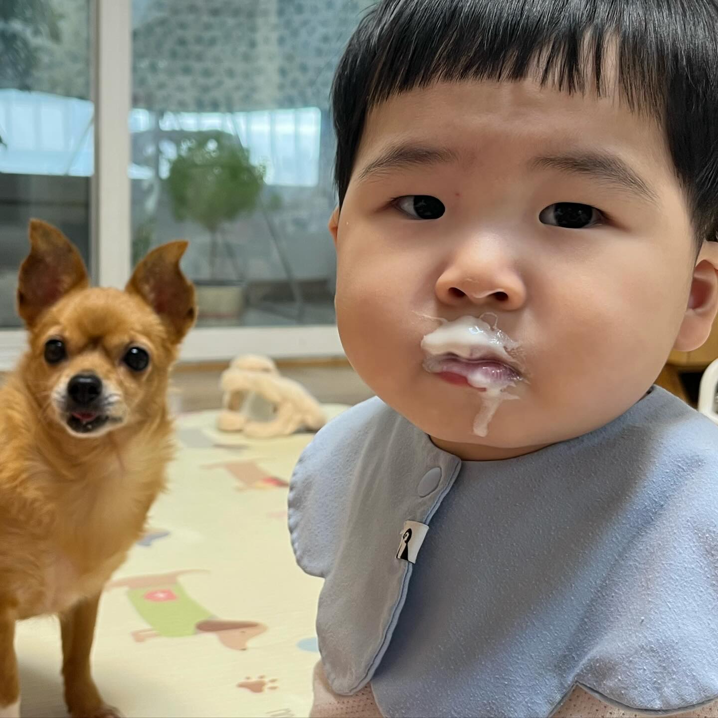 멜팅이한