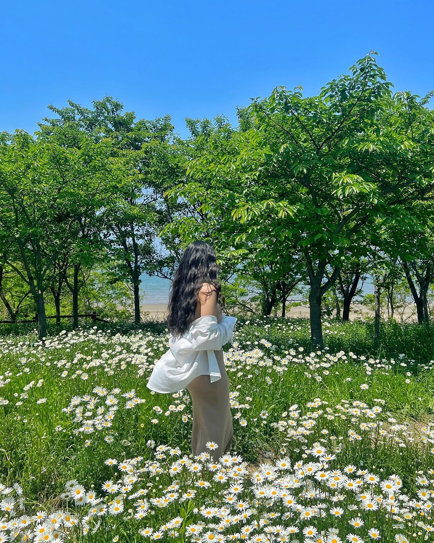 다녀온지 2달이나 지난 데이지 꽃밭🤭
지금 봐도 예쁘긴 예뻤어
일본 사진도 사실 다 정리 못했지만 밀린 관계로 패스..나중에 올리고 싶을때 올려야지 🤭🤭
.
.
.
#데일리 #팔로우 #좋반 #daily #셀피 #부안데이지 #데이지 #럽스타그램 #부안여행 #부안가볼만한곳 #대구 #대전 #전주 #광주 #여수 #부산 #서울 #일상 #데일리룩 #셀스타그램 #전신샷 #스냅사진 #풍경사진 #셀스타그램 #데일리 #오오티디 #첫줄 #첫줄반사 #소통 #dailylook #fff