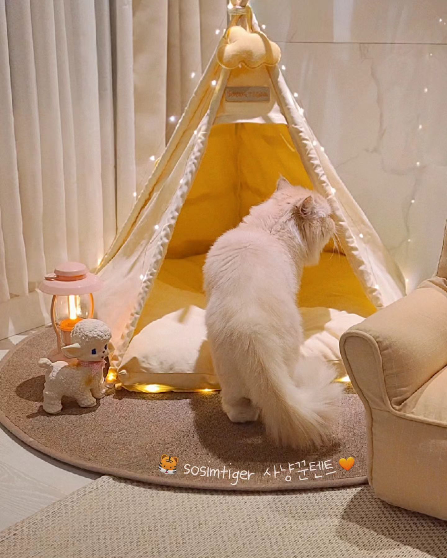 #제품제공 sosimtiger_official 

⛺️ 캠핑 꿈나무인 집사의 소원 ⭐️집안에 감성 캠핑존 만들기를 사냥꾼텐트로 드디어 완성했어요 :) 

안그래도 요즘 버터옐로우🧀색상에 빠져있는데, 노랑노랑하니 넘나 예뻐서 취향저격인 것..... 😭💛

텐트 꼭대기에 구름모빌도 달아주고, 전구까지 달아줬더니
밤에 불끄면 제법 갬성 터져요 👧🏻🧡 [대문자 F인 집사]ㅋㅋㅋ

텐트 안에 깔아주는 쿠션 가운데가 움푹 패여있는데, 이게  둥지같은 안정감을 주는지 토리랑 크림이가 엄청 좋아하더라구요 :) 
저희 애들은 아직도 내외하는 사이라 절대 같이 안있는데,
볼때마다 주인이 바껴있어서 지나갈때마다 빼꼼히 쳐다보는 재미가 있답니다 😽

사람껏도 이런 모양이 있었으면 좋겠어요 😭 
넘나 푹신하고 좋아보임......

참! 사냥꾼텐트의 히든카드가 있는데요 🤫
텐트 뒤쪽에 낚시대 꽂이가 부착돼있어요~
게다가 똑딱이 단추달린 덮개도 함께랍니다 🧡
예쁘기만한게 아니라, 곳곳에 세심함이 돋보이는 
사냥꾼 텐트였어요 😊❤

소심한호랑이 제품은 꿀맛습식기 이후로 두번째인데요~
꿀맛습식기는 온도유지가 가능해서, 특히 겨울에 아이들 습식챙겨줄때 정말 유용하게 잘 쓰고있거든요~ 
둘 다 만족스러워서 믿음이 가요 😻
세번째 제품 후기는 어떤제품이될지.. 곧 돌아올게요 🧡

#소심한호랑이 #고양이텐트 #고양이용품
#사냥꾼텐트 #소심한 호랑이사냥꾼텐트 #꿀맛습식기