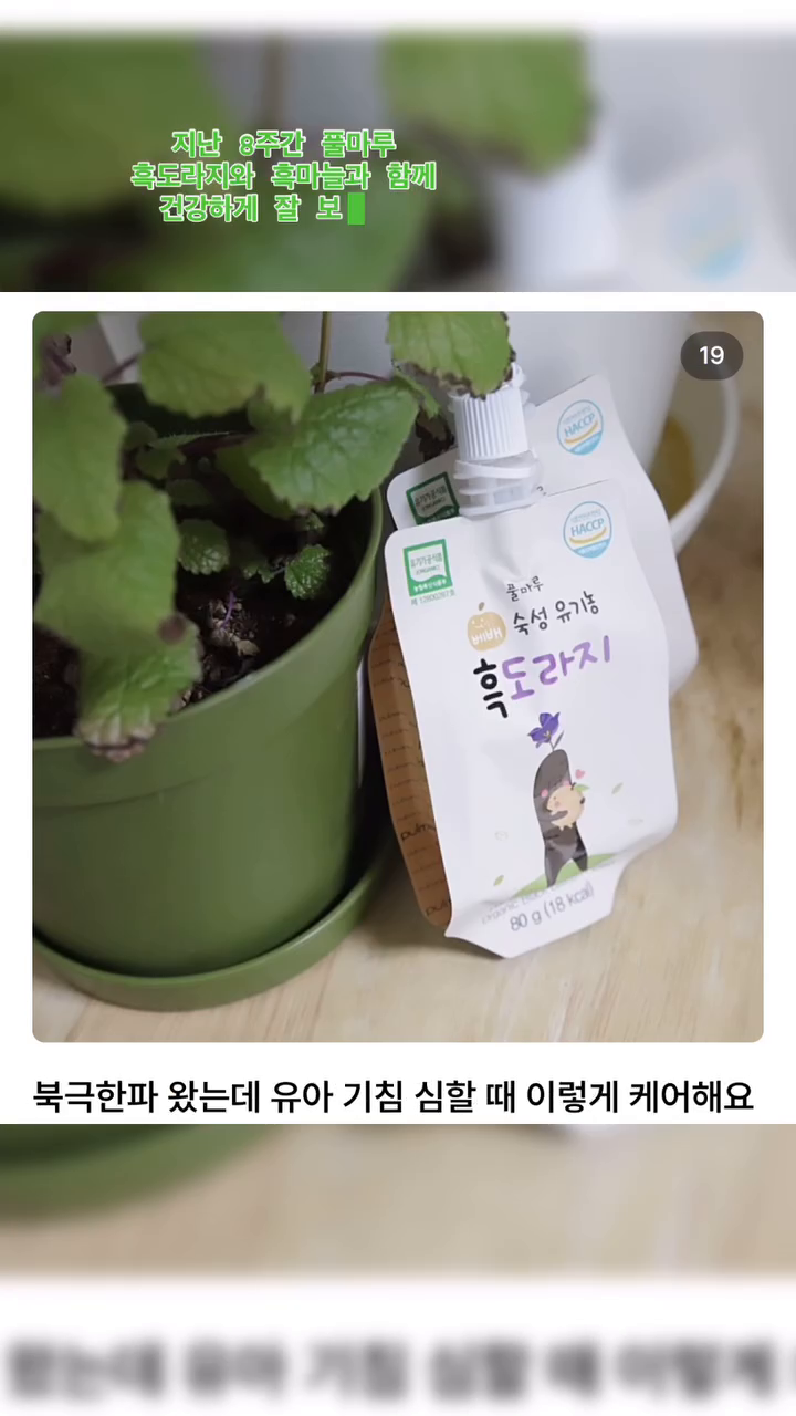pulmaru_organic #풀몬아이 56기로 보낸
지난 8주간의 시간들💚

신기하게 밥을 잘 먹는 아이가 되버렸다
그래서 18kg 돌입 무엇?
먹고나면 배고프다 한다 얼마나 크려고 ....?

안 아프고 건강하게 그저 잘 자라줘서 고마워

#풀마루
#아이만을유기농흑마늘진액14 
#밥태기극복 
#고마웠어요
#행복했다지난8주 

오랜만에 우리 린이랑 길게 같이 일했네👶🏻🩷