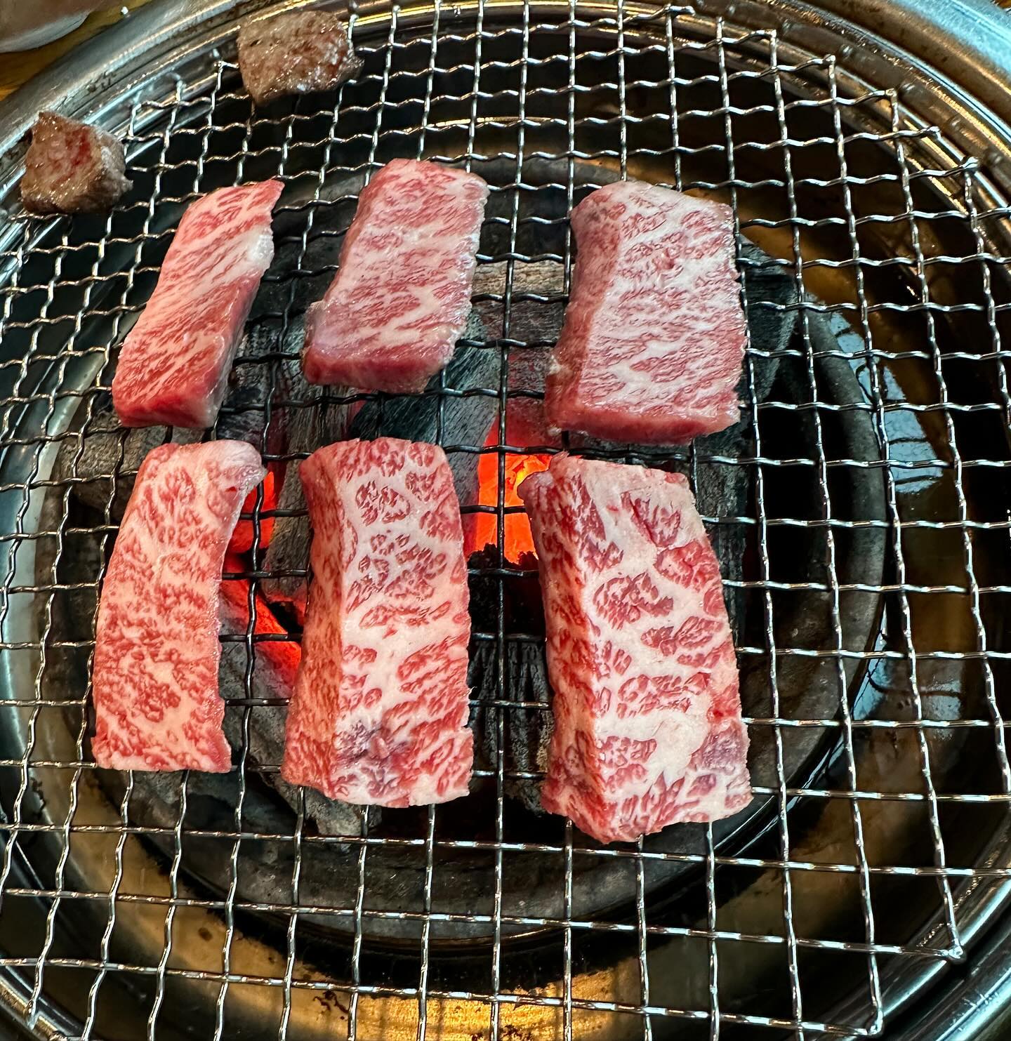 새해아침은 가족들과 한우소고기로 시작😋
행복한 2024 되세용😍#2024 #2024첫끼#첫끼는한우