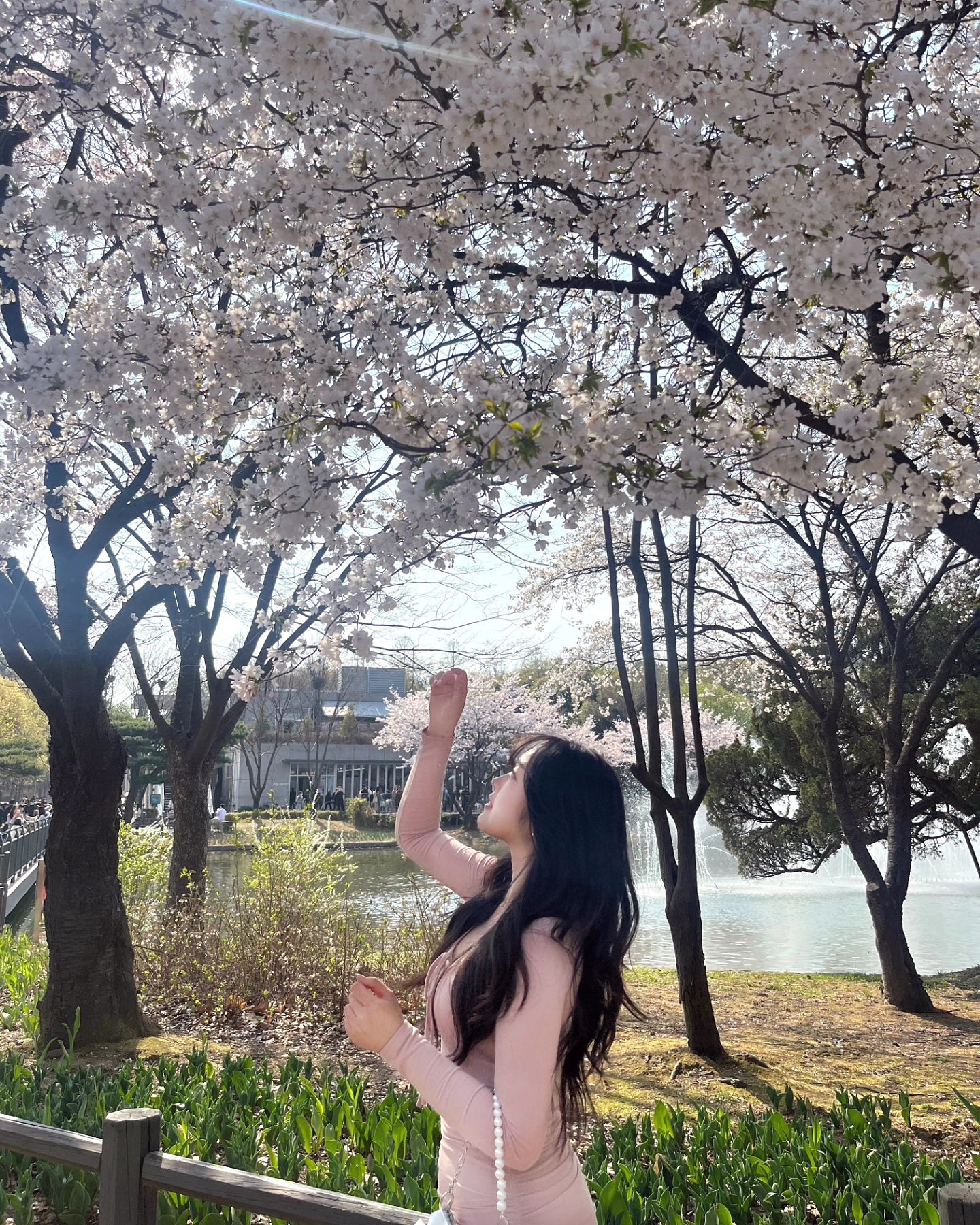 매번 돌아오지만 매번 설레고 예쁜 🌸