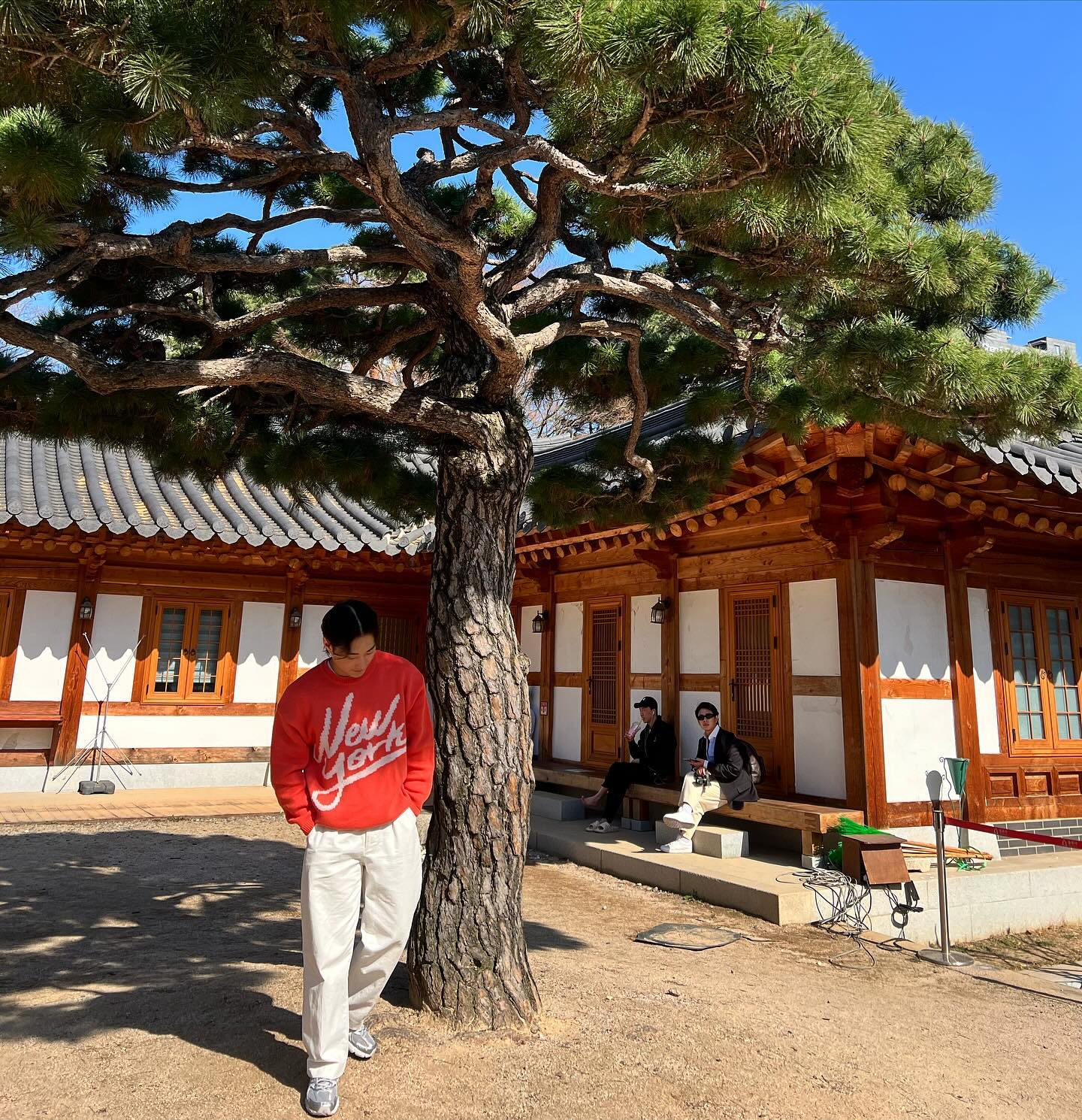 올해 소원은 2024년에는 꼭...더보기