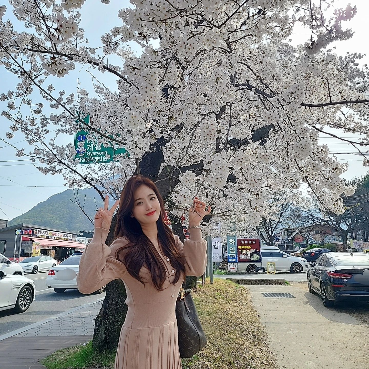 동학사벚꽃축제🌸

차도 많고 사람도 많고 맛난것도 많다
차 밀린다고 투덜 사진 그만 찍으라고 투덜
투덜이 데리고 나는 그저 신남😄😆🤗

#동학사 #동학사벚꽃 #동학사벚꽃축제
#경기식당 #해물파전에동동주는진리
#어썸845카페 #동학사카페
#투덜이남친 #투덜거려도다해줌ㅋㅋ