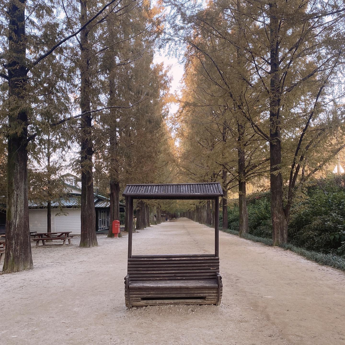 🍂
오늘은 뭐할까 뭐하지?
가 최대 고민인 나🌝

여기저기 고르다 결론은 다먕ㅋㅋㅋ
메타세콰이어에 어린이 놀이터를 이제야 알다니:(

오늘도 예쁜 우리 담이 사룽해💜

#유성운이담