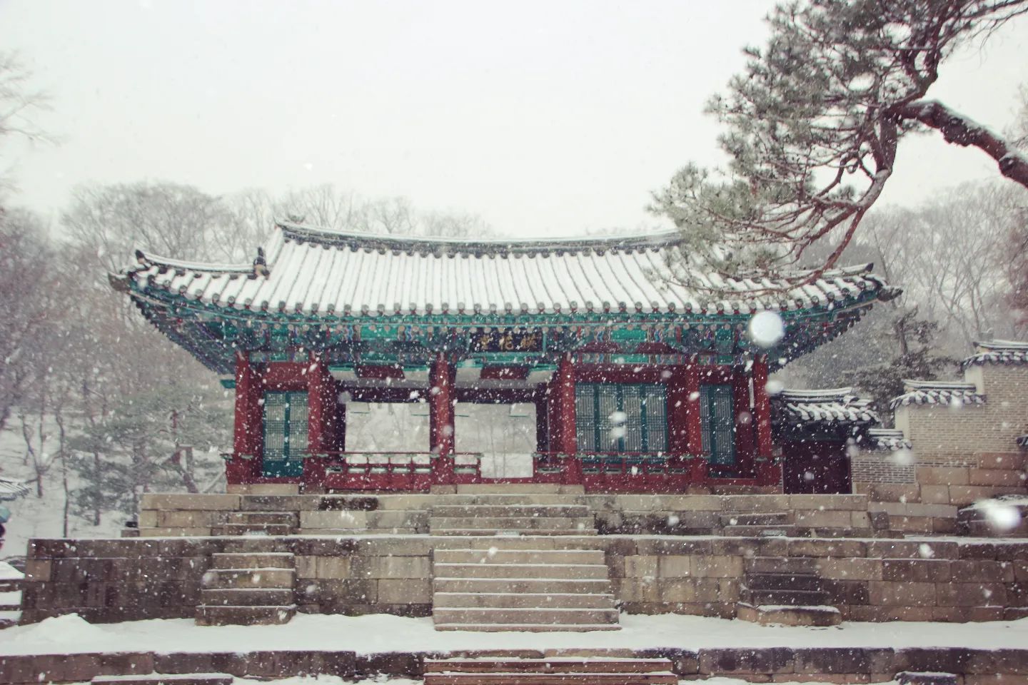24. 01. 09. 눈오는 날

#일상 #사진 #풍경 #감성 #느낌 #창덕궁후원 #눈오는날❄️ #캐논카메라📷 #canon #고궁산책 #눈풍경⛄ #눈오는날의풍경 #창덕궁의겨울경치 #snowday #healing #travel #daily #aday #photography #사진찍는여자🙎‍♀️ #대한민국구석구석 #seoullife #사진계정환영 #뷰파인더로본세상📸 #겨울은겨울답게❄️ 

soyun_photographer