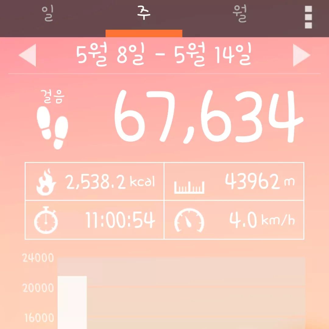 일주일동안 걸었던게 67,634보....