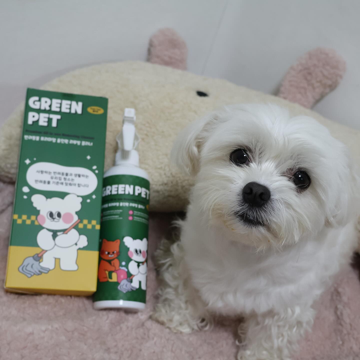#협찬

🏷️ 그린펫  _greenpet_official 
올인원 리무빙 클리너 폼타입

✔️반려동물과 사는 우리집 모든곳
✔️쫀똔한 폼타입 반려동물 흡입 안전
✔️7종효소 설계 반려동물 분비물 제거 특화
✔️EWG 1등급 안전하게 

짱아 욕조에 물때 제거에도 사용하구!

다리를 들고 쉬아를해서 패드 밖으로 소변 유출이 심각한
우리 짱아 화장실 .. 

실리콘매트에 소변이 자주새서 닦아야하는데
올인원 리무버로 냄새도 세균도 꽉 잡기!!

미끄럼방지매트도  구석지는 때가 껴도 물티슈로 닦으면
깨끗하게 안되는데 폼타입 칙칙 뿌리고 닦아주니 새매트 🩵

.
올인원 #청소용품 #세척제 #세정제 #집안청소 #실내청소 #강아지냄새제거 #고양이냄새제거 #그린펫올인원 #그린펫클리너 #그린펫 #greenpet