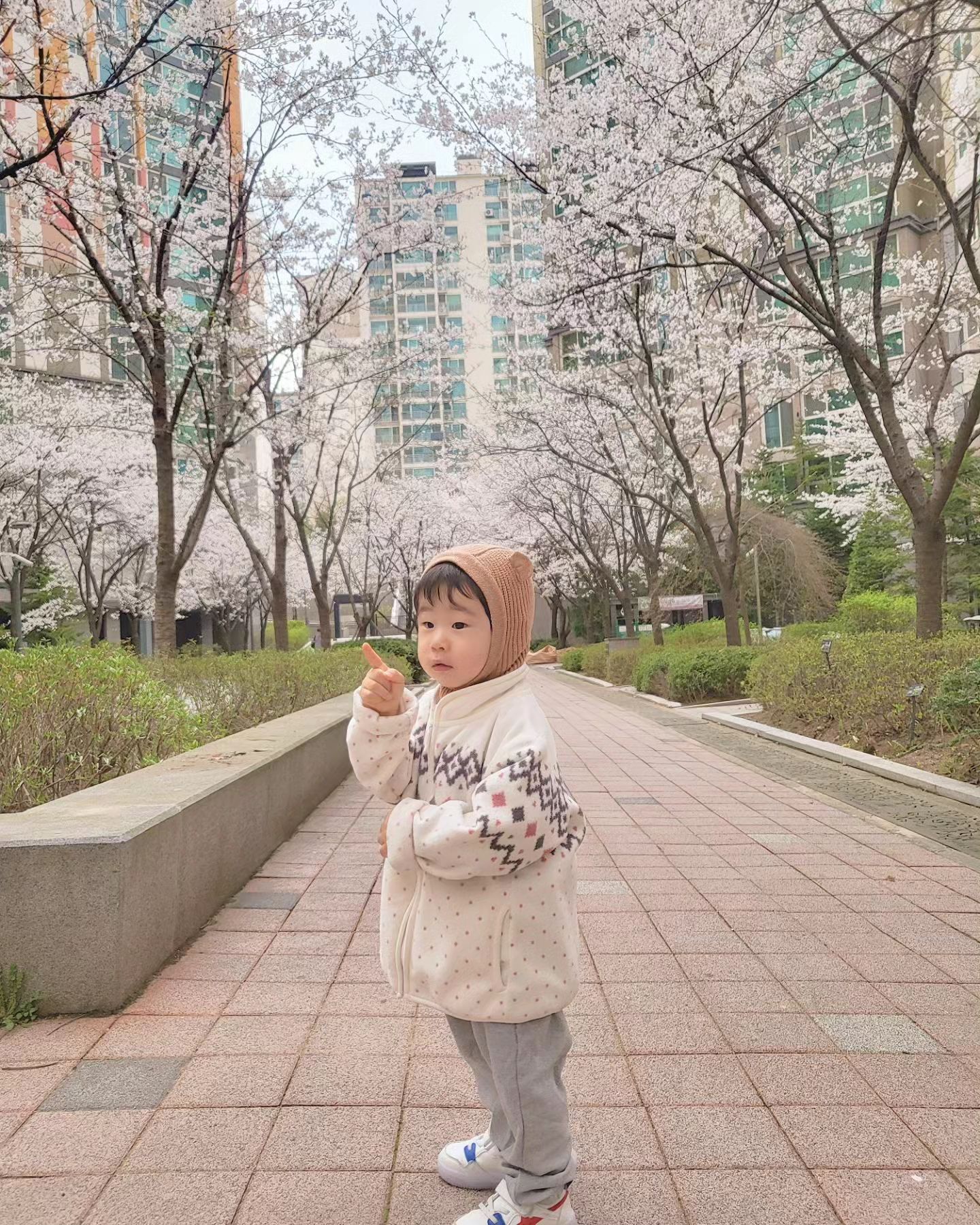 여러분~ 벚꽃 구경 다녀오셨나요?🌸
저는 멀리는 못가고 소소하게 아파트 한바퀴 돌며
워니와 남편이랑 셋이서 소소하게 꽃놀이 했어요😘

작년에는 꽃이 뭔지도 몰라하며 아무생각 없어보였는데
올해는 꽃 가리키며 예쁘다고 한참을 쳐다보네요,,
언제 또 이렇게 큰거야❤️
#벚꽃명소 #벚꽃구경 #벚꽃놀이 #가족나들이