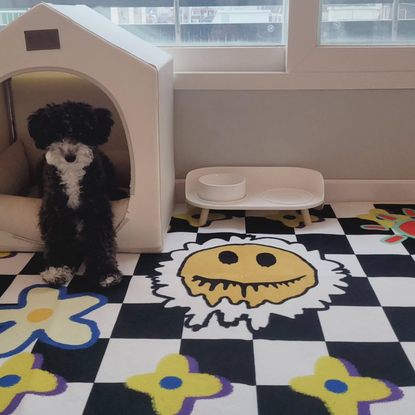💓

우리 뷔통❤️
간식만 꺼내오면 말 안해도 하우스🏠
귀욤댕이🐶

#하우스
#알아서척척 
#간식내놔라
#미용은여름에하자
#셀프미용
#우리댕댕이 
#v tong