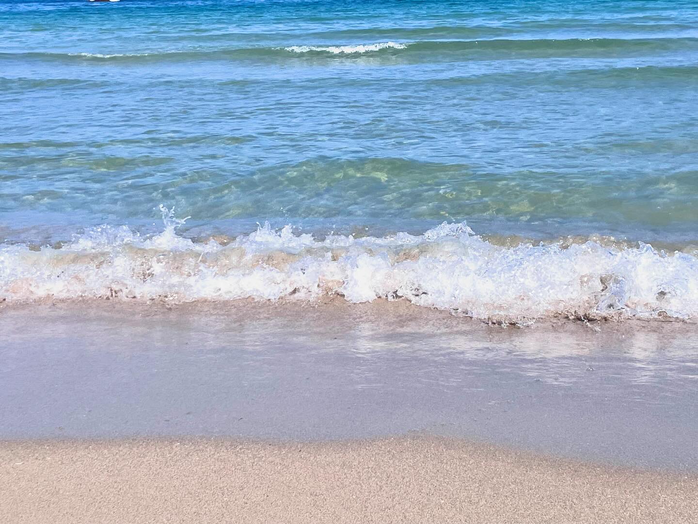 🌊🌴🏝️📸