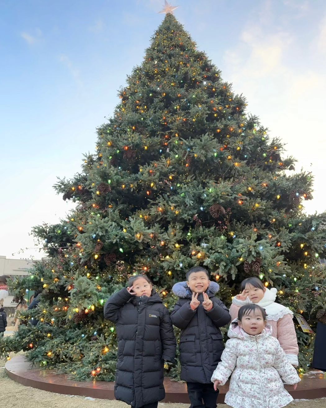 귀염둥이들♡

웃는아이어린이집 5살에 만나 어느덧 7살을 바라보는 중♥︎
시간이 참 무섭게 흘러가는데 어린이집과 더불어 키즈스쿨에서 매주 만나 돈독해지기😍

엄마들도 서로 의지하고 서로 힘을 주는 사이로 발전😍
유리언니 경희 둘다 늘 고맙고 감사해😘
내가 하는 이야기들을 귀담아 들어주고 함께해주는 감사한 인연😍

아이를 키우면서 만나는 인연 중 참 오래가고 싶다고 느끼는 인연 ㅎ
내아이가 좋아하고 나도 좋아하는 인연을 만나기 쉽지 않은데 그게 된 인연😍

고마워❤️ 2023년 잘 마무리하고 2024년도 잘부탁해😍

#혜찬정 #율날경 #고마운인연