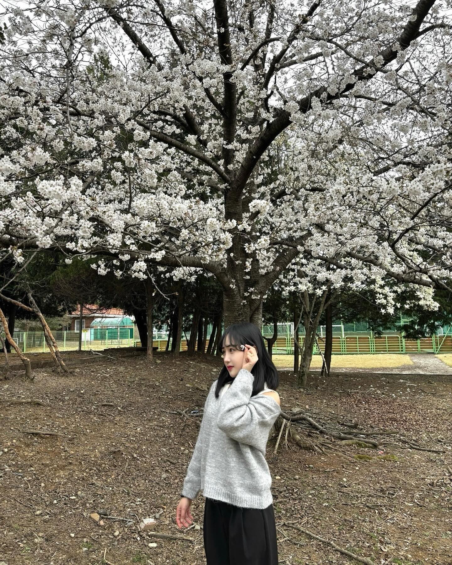 오벚완🌸🍃🎶🍀