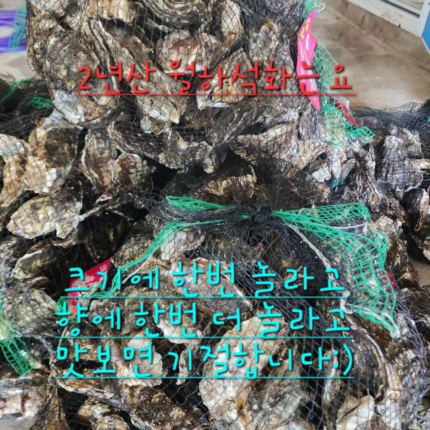 완도 2년산 월하굴 맛보기 5kg 1박스 30000원 무료배송
10kg 1박스 50000원 무료배송

추워지니 굴찜에 한잔 땡기네요!
저만 맛있게 먹고 있어 올려봅니다.
2년산 월하굴은 1년산 햇굴하고는 차원이 다릅니다.
꼭 맛보세요:)

#겨울제철#굴찜#석화#잔치#술안주#소주안주#가족과함께#친구와함께#각굴#석화구이#캠핑#펜션#여행