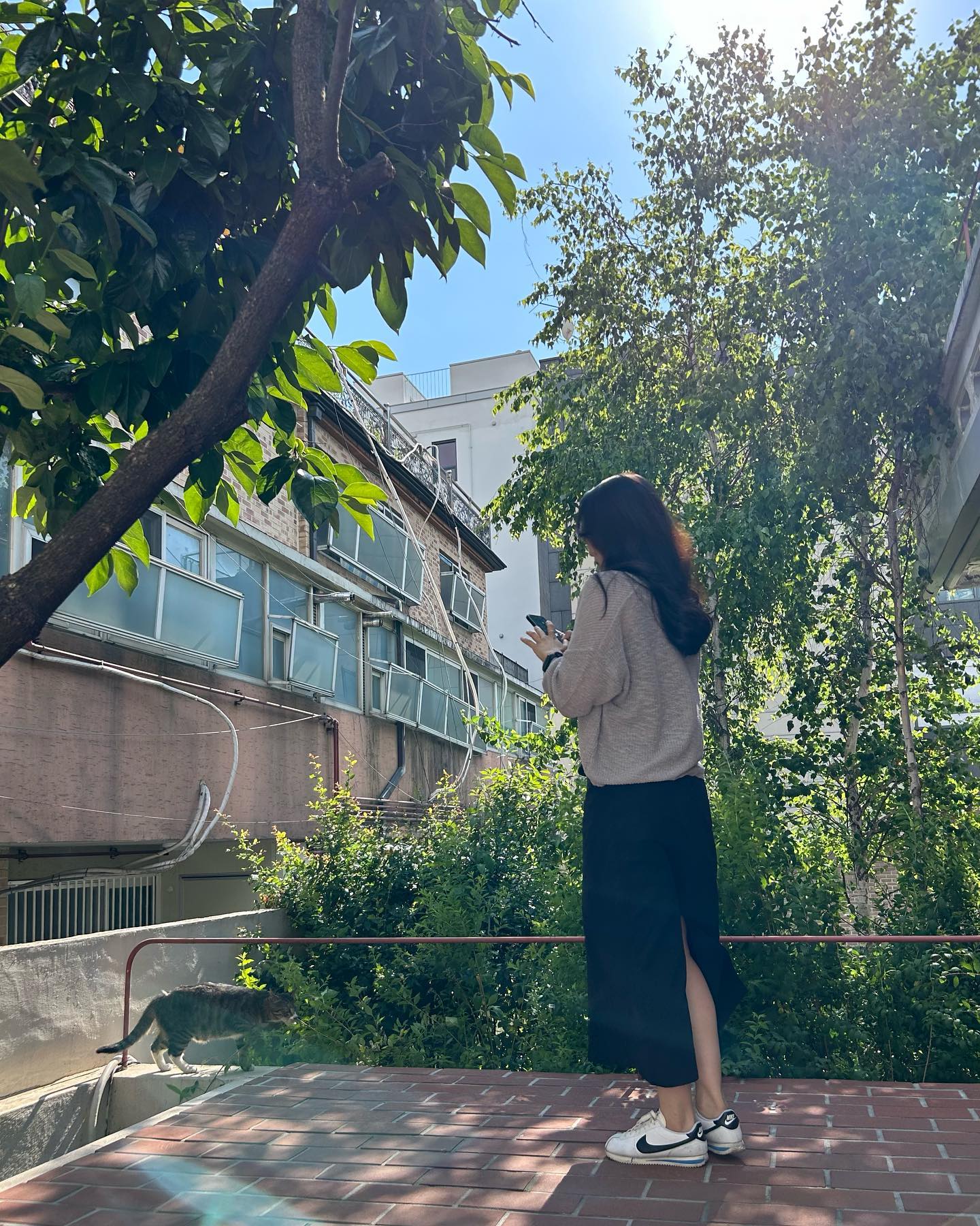 🍃