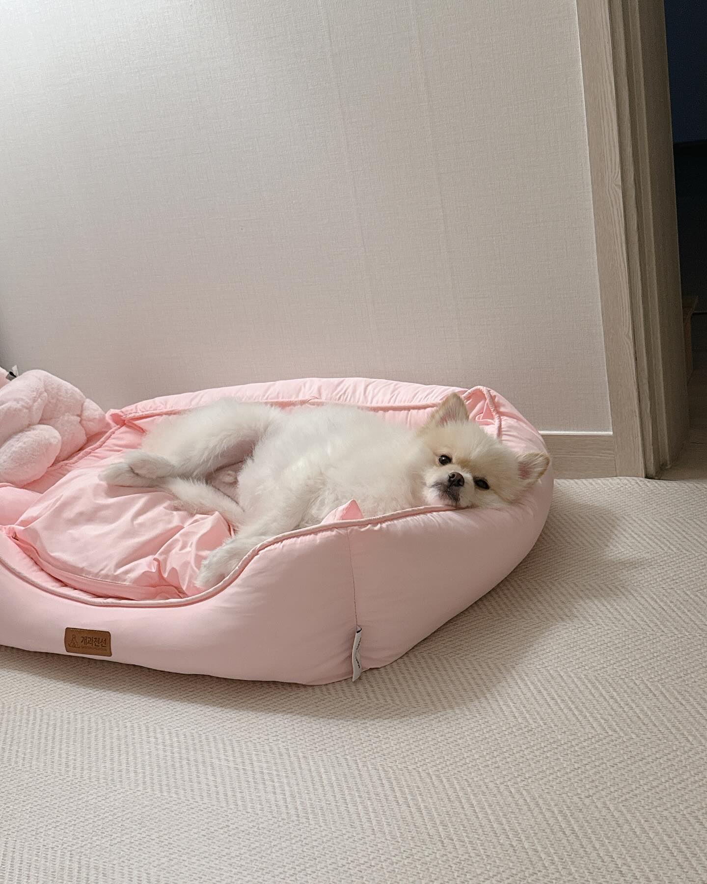자도자도 졸린 둡ㅂ..😴