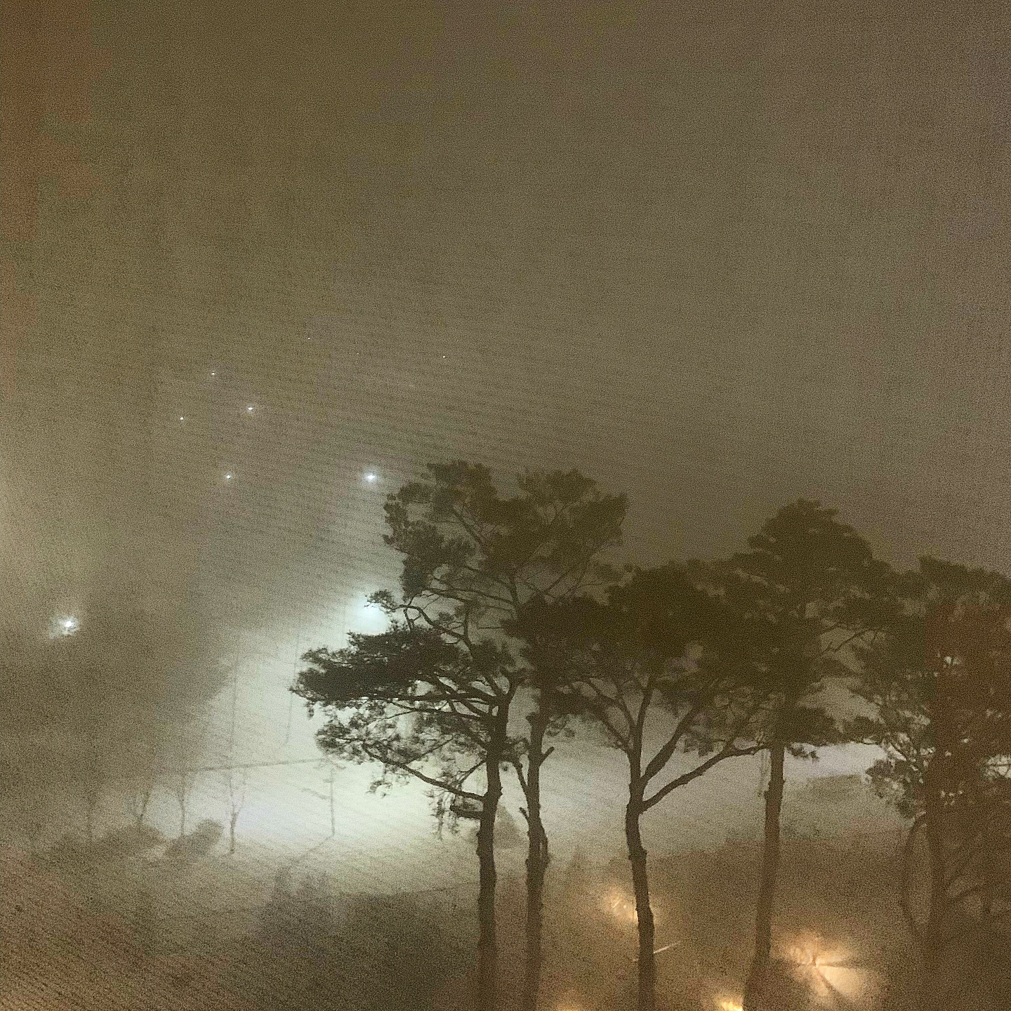 한치앞이 안보이던 밤안개 🌁