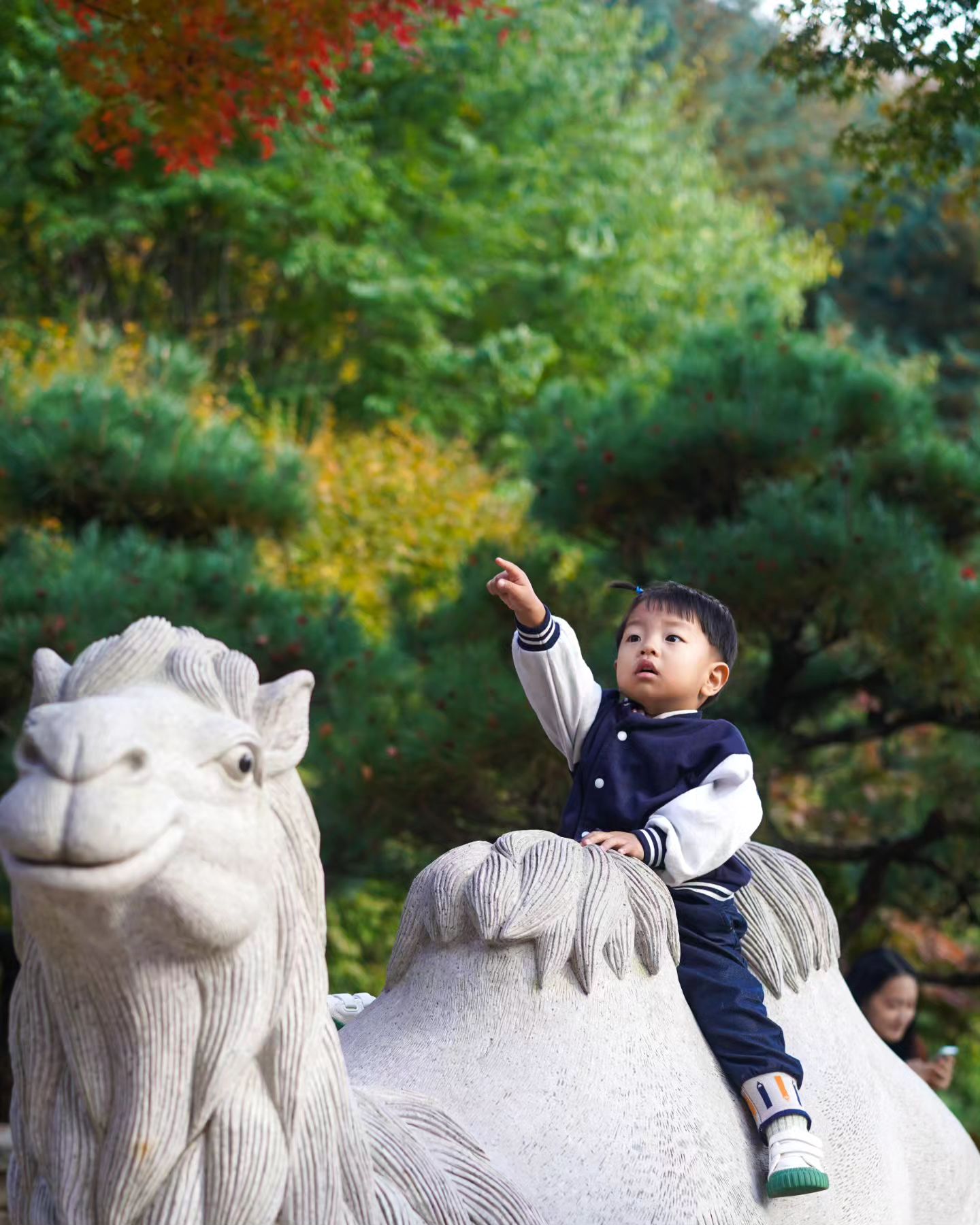 알록달록 나뭇잎🍁🍂
